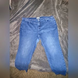 Lane Bryant Jeans